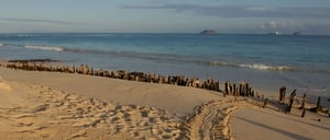 Bachas Beach - Santa Cruz in Galapagos Island beautiful white sand beach in the sunset