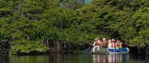 Black Turtle Cove - Santa Cruz in the Galapagos view of mangrove and tourist in panga with a experienced guide