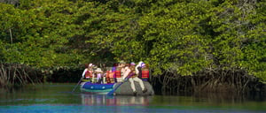 Black Turtle Cove - Santa Cruz in the Galapagos view of mangrove and tourist in panga with a experienced guide