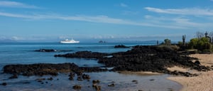 Dragon Hill - Santa Cruz Island Vistor Sites: Galapagos Legend at Dragon Hill