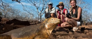 Dragon Hill - Santa Cruz in the Galapagos, tourists taking a picture of a land iguana