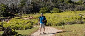 Dragon Hill - Santa Cruz in the Galapagos Islands, view of the nature and tourist walking in the hill