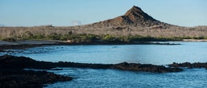 Dragon Hill - Santa Cruz in the Galapagos view of the sea and the volcano with nature