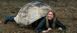 Highlands - Santa Cruz in Galapagos tourist playing with giant tortoise shell