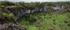 Pit Craters - Santa Cruz Galapagos Island: Landscape