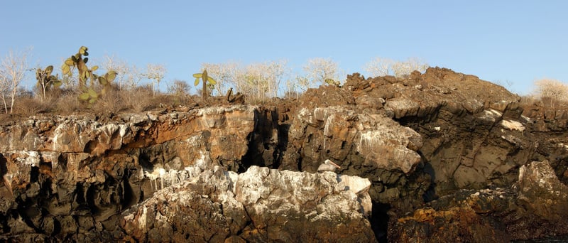 NewWeb-HB-islas-Santa-Cruz-punta-carrion-landscape