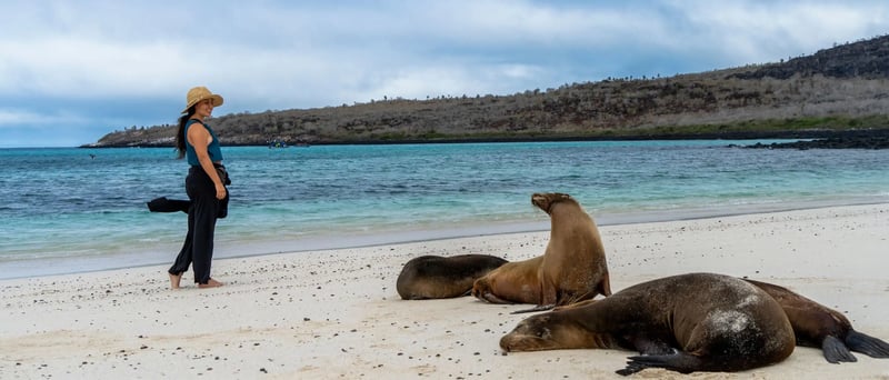 NewWeb-HB-islas-santa-fe-sea-lion-girl