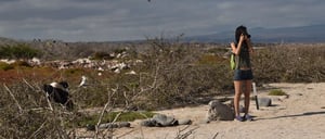 North Seymour in Galapagos Islands with tourist taking a picture and frigates