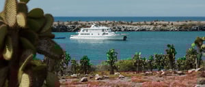 South Plaza in the Galapagos Islands Landscape view of the sea and vegetation