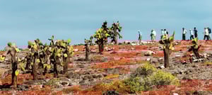 Travelers hiking at South Plaza Island