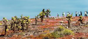 Hiking at South Plaza Island