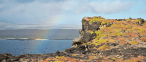 South Plaza island´s cliff