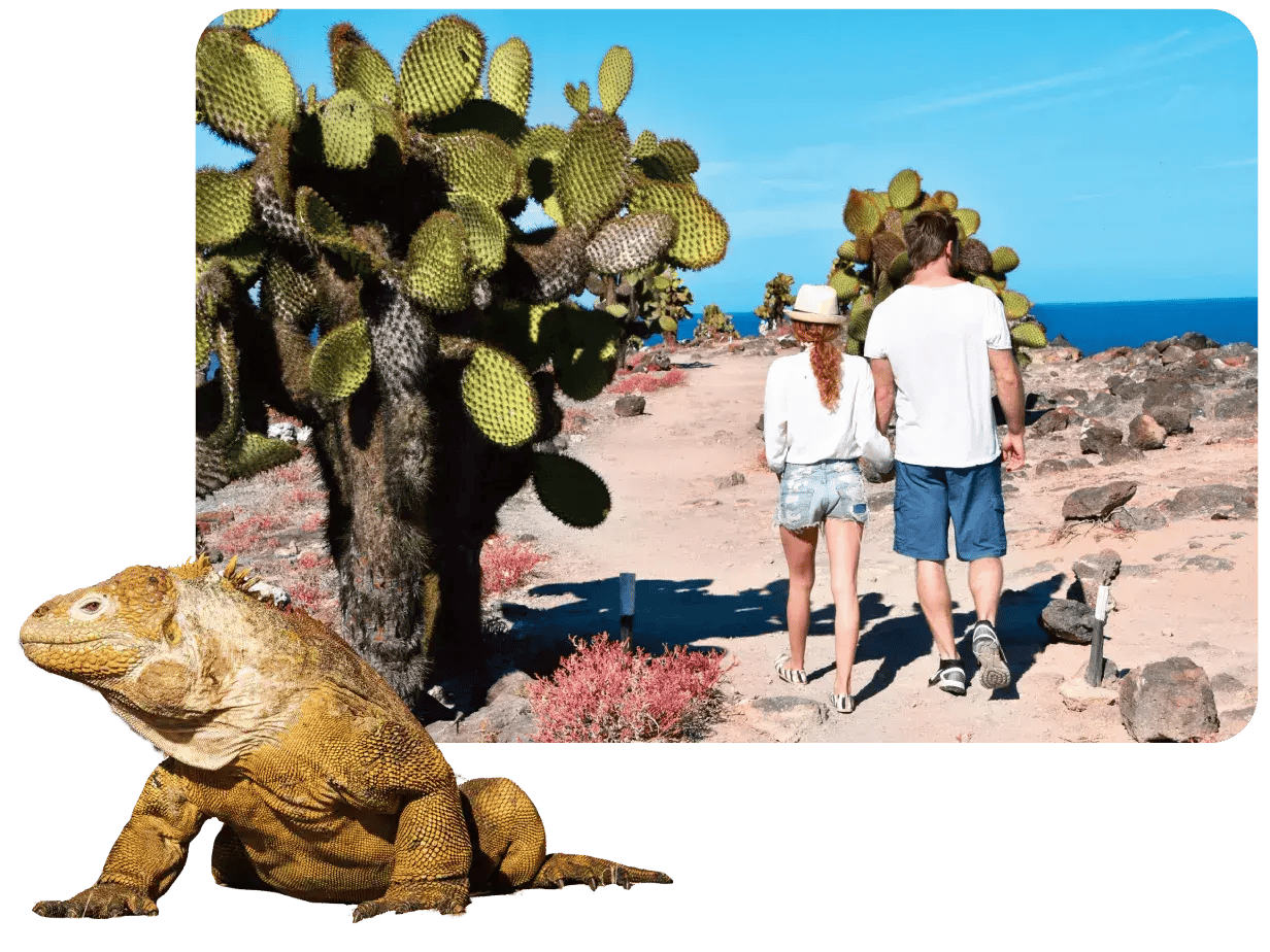 Land Iguana and travelers in Darwin Bay, a visitor site from South Plaza Island
