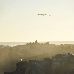 Española Island in the Galapagos Islands