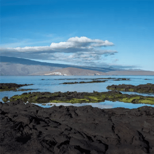 Fernandina Island in the Galapagos Islands