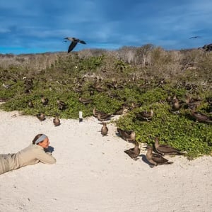 Genovesa Island in the Galapagos Islands