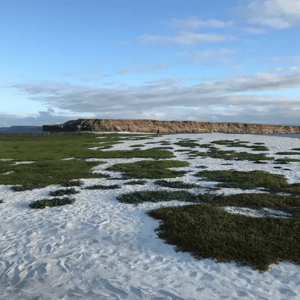 Mosquera Island in the Galapagos Islands