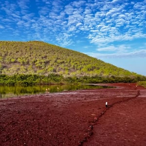 West Expedition (B) Galapagos Legend: Rabida
