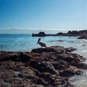 Santa Cruz Island in the Galapagos Islands