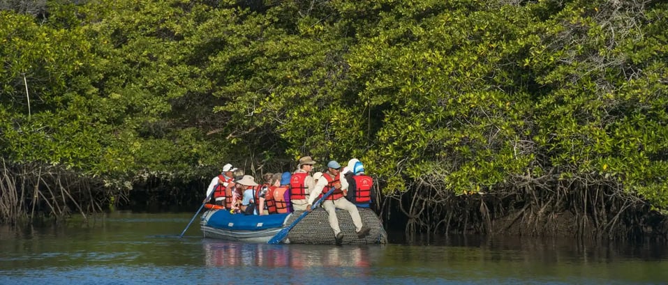 Coral Yachts Itinerary North & West Expedition: Black Turtle Cove