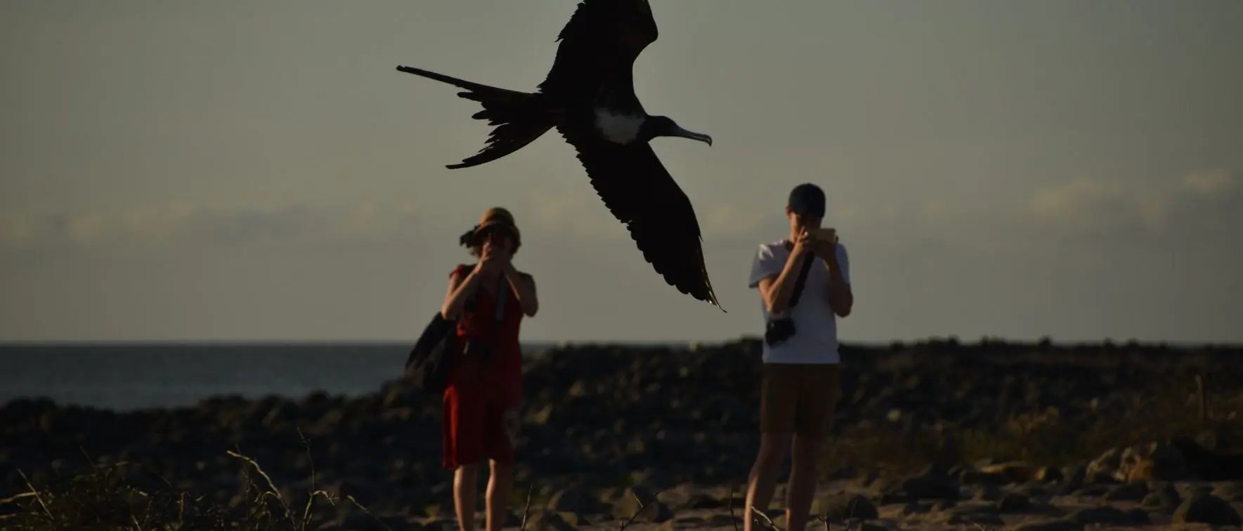 Coral Yachts Itinerary West & East Expedition: North Seymour Island