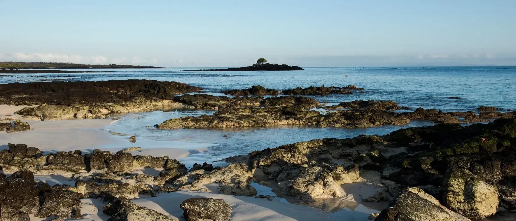 Galapagos Legend Itinerary North & West Expedition: Bachas beach - Santa Cruz Island