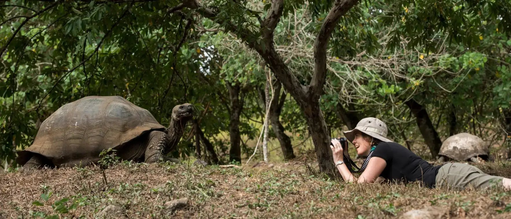 Coral Yachts Itinerary West Expedition: Highlands Tortoise Reserve