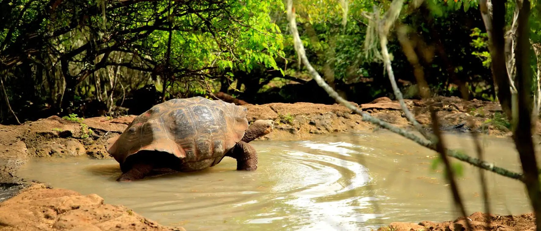 Galapagos Legend Itinerary West & East Expedition: Cerro Colorado