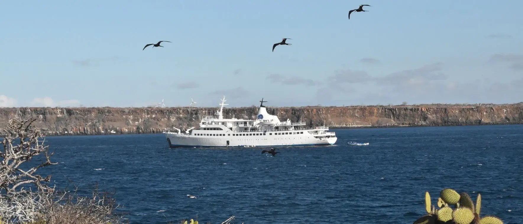 Galapagos Legend Itinerary West & East Expedition: North Seymour Island