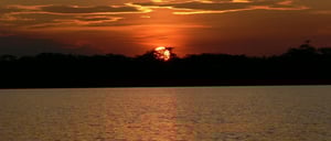 Amazon land tours