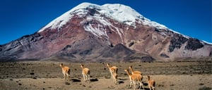 Quito Surroundings Land Tours: Cotopaxi