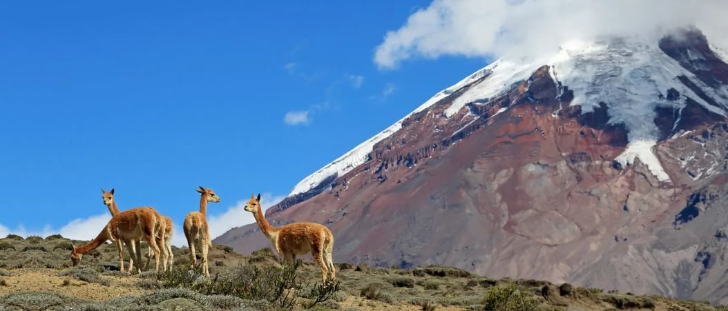 andes-baños-cuenca-chimborazo