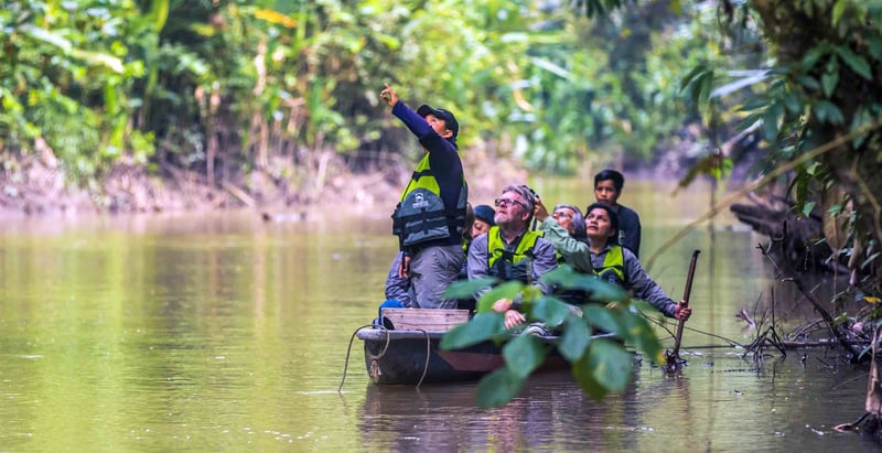 Guests on an Anakonda Amazon Cruise canoe tour explore Ecuador’s rainforest, guided by a local expert.