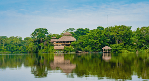 La Selva Lodge, a luxury eco-lodge in Ecuador’s Amazon, surrounded by pristine rainforest and serene waters.
