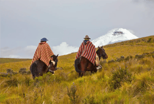 Chagras on horseback in the Andean highlands with the snow-capped Cotopaxi volcano in the background.
