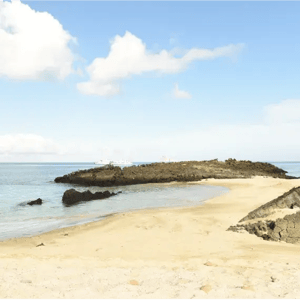 South Expeditions (D) Coral Yachts: Cerro Brujo