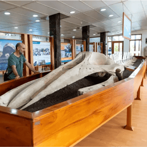 East Expedition (C) Coral Yachts: Charles Darwin Research Station