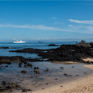 South Expedition (D) Galapagos Legend: Dragon Hill