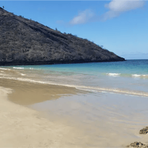 South Expedition (D) Coral Yachts: Punta Cormorant