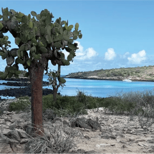 North Expedition (A) Galapagos Legend: Santa Fe