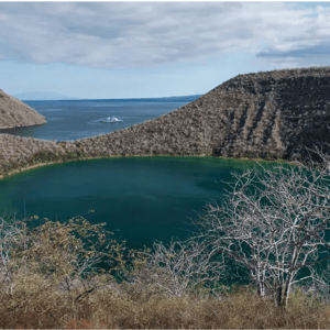 West Expedition (B) Galapagos Legend: Tagus Cove