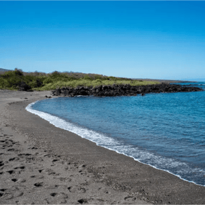 West Expeditions (B) Galapagos Legend: Urbina Bay
