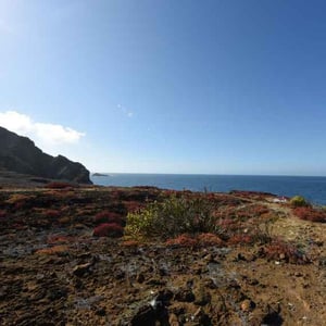 East Expeditions (C) Galapagos Legend: Punta Pitt