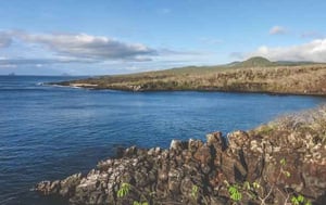 South Expedition (D) Galapagos Legend: Tijeretas