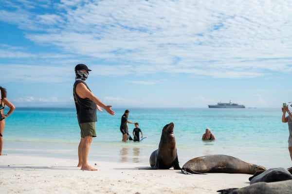A man with Sea Lions in the Galapagos Islands