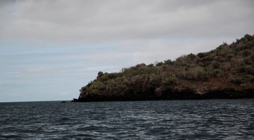 Punta Cormoran / Champion Islet - Go Galapagos