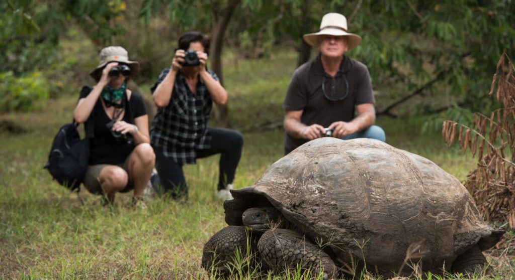 Highlands Tortoise Reserve | Go Galapagos