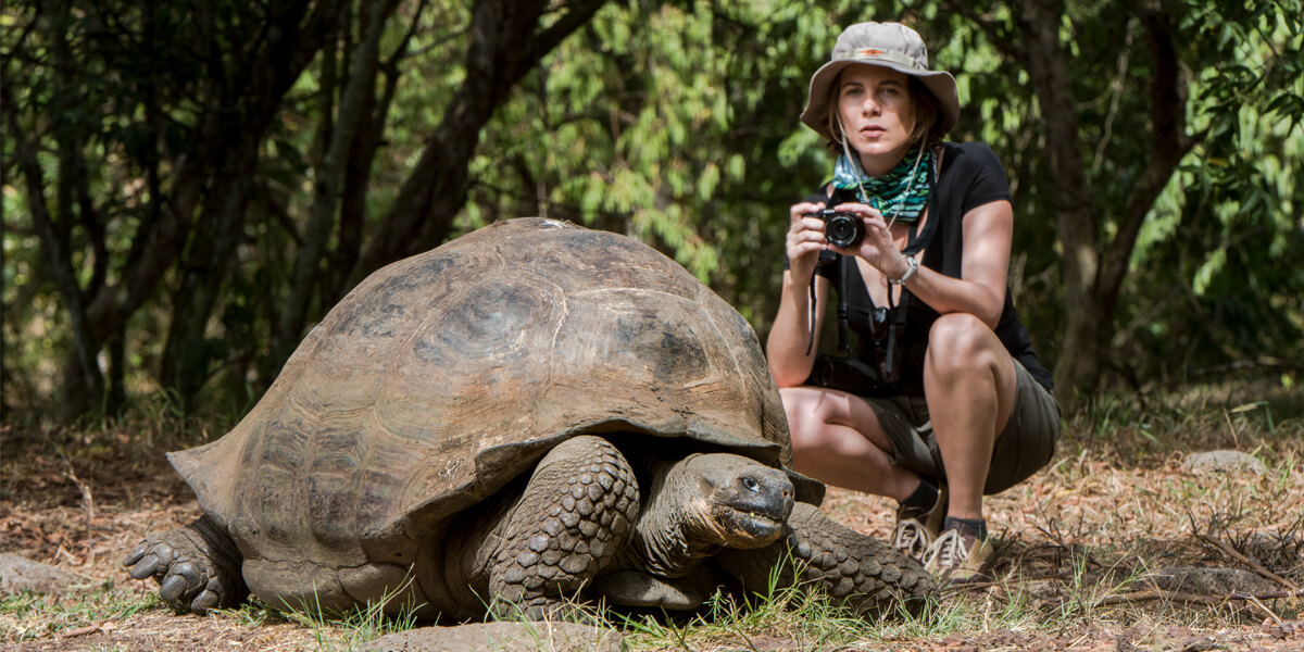 Giant Tortoise - Lonesome George | Go Galapagos