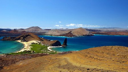 Explore the Galapagos Islands on a Galapagos Island Tour or Cruise