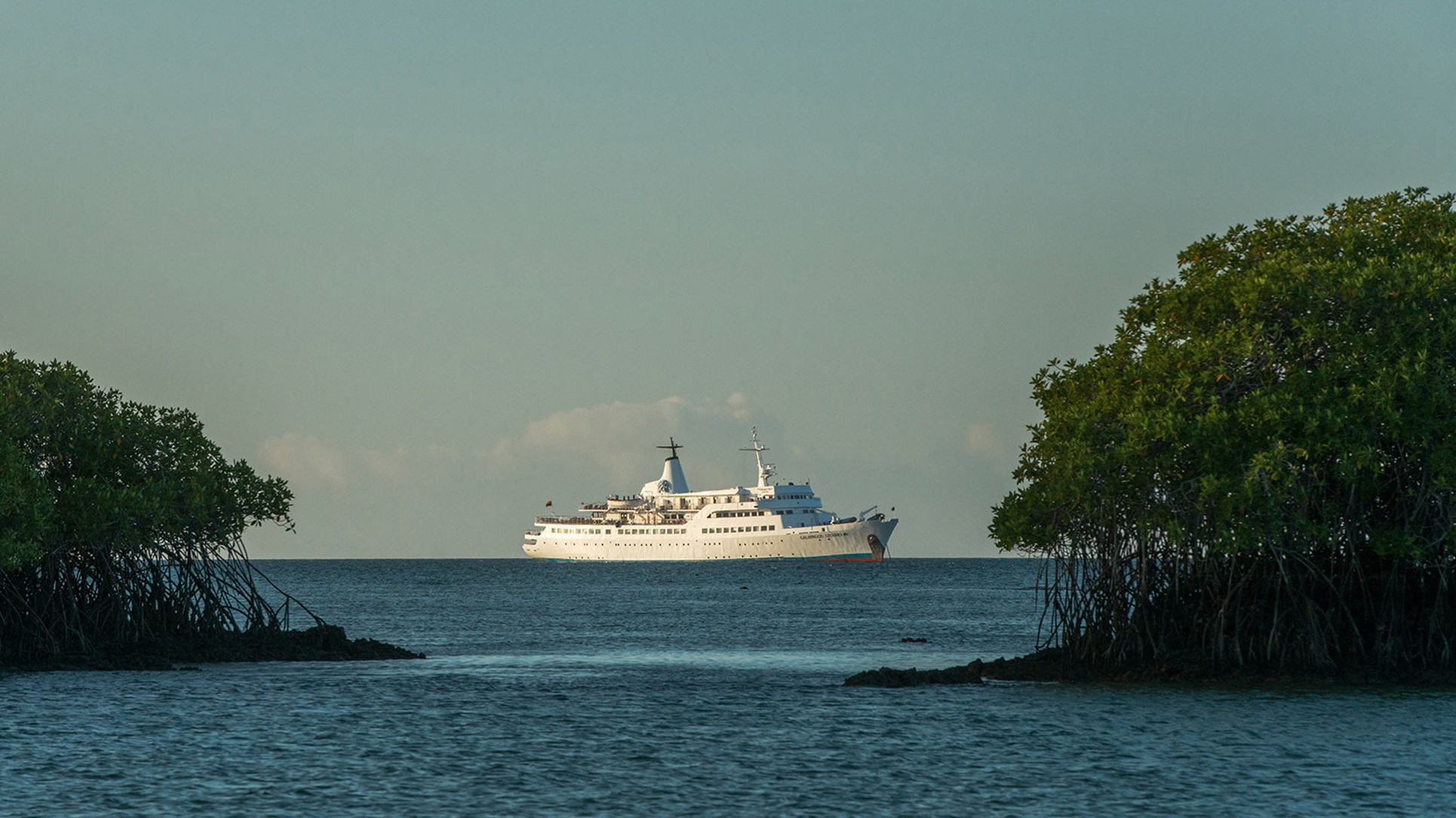 Black Turtle Cove Go Galapagos